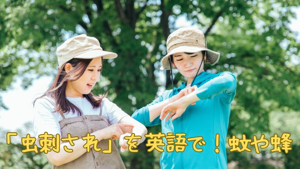 「虫刺され」を英語で